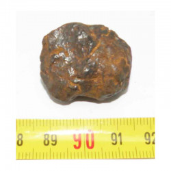 Meteorite Nantan Chine ( 19.30 grs - 017 )