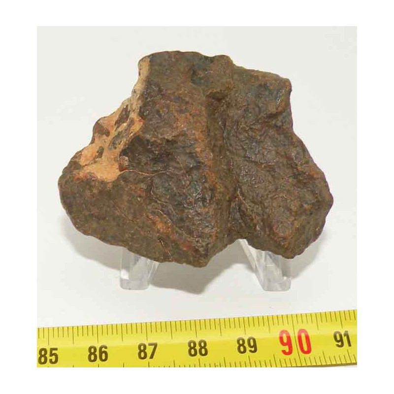 Meteorite Chondrite NWA non classée ( 76.45 grs - Abde 018 )
