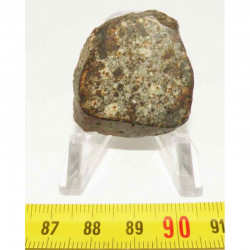 Tranche de Meteorite NWA 869 ( 14.20 grammes - 040 )