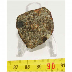 Tranche de Meteorite NWA 869 ( 14.20 grammes - 040 )