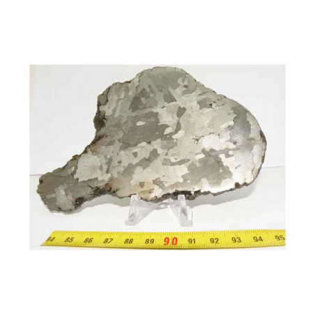 Tranche Meteorite Campo del Cielo avec structures de Widmanstätten ( 008 )