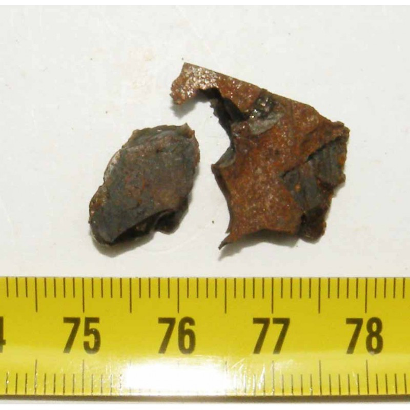 lot de Meteorites Pallasovka - Pallasite ( 4.9 grs - 021 )