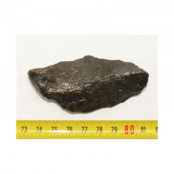 Meteorite Canyon Diablo ( 116.8 grs )