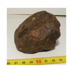 Meteorite Chondrite NWA non classée ( 460 grs - Abde )