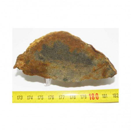talon / tranche de Meteorite NWA 4420 ( Achondrite - 101 grams - 031  )