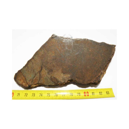 talon / tranche de Meteorite NWA 4420 ( Achondrite - 382 grams - 027 )