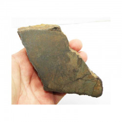 talon / tranche de Meteorite NWA 4420 ( Achondrite - 382 grams - 027 )