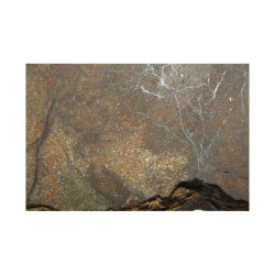 talon / tranche de Meteorite NWA 4420 ( Achondrite - 382 grams - 027 )