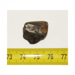 Meteorite Canyon Diablo ( 8.25 grs- 001 )