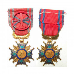 médaille France devouement social ( 096 )