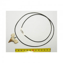 Collier pendentif  dent de requin fossile ( Lamna - 008 )