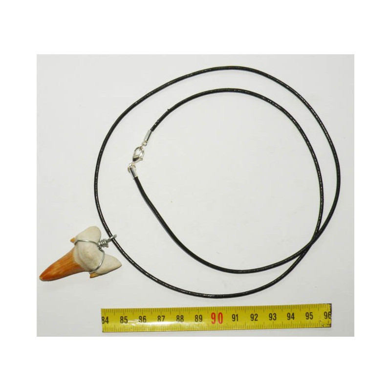 Collier pendentif dent de requin fossile ( 005 ) Collier pendentif dent de requin fossile ( 005 )