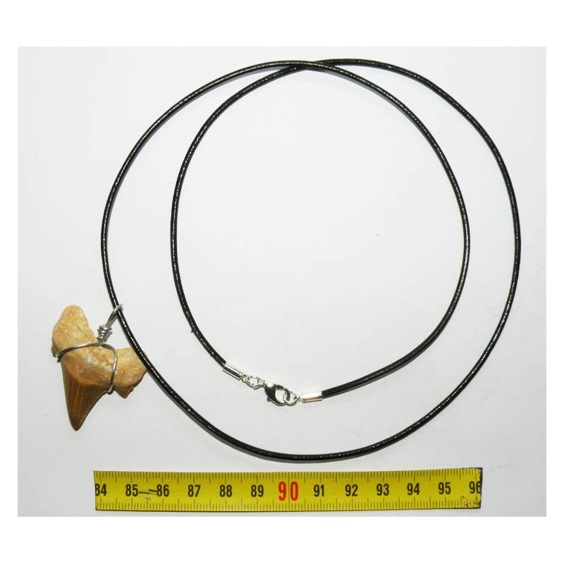 Collier pendentif dent de requin fossile ( 012 ) Collier pendentif dent de requin fossile ( 012 )