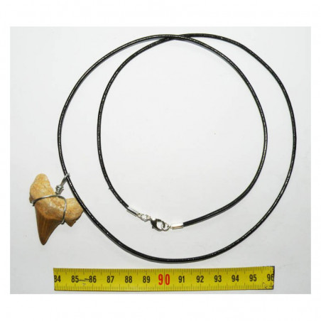 Collier  pendentif  dent de requin fossile ( 012 )