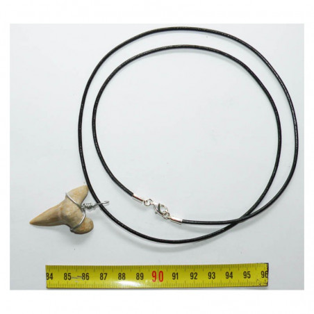 Collier pendentif  dent de requin fossile ( 020 )