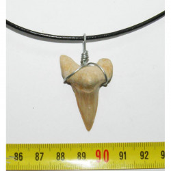 Collier pendentif  dent de requin fossile ( 020 )