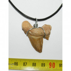 Collier pendentif  dent de requin fossile ( 009 )