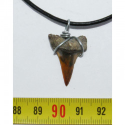 Collier  pendentif dent de requin fossile ( 029 )