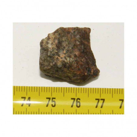 Meteorite NWA 869 ( 20.00 grammes - 038 )