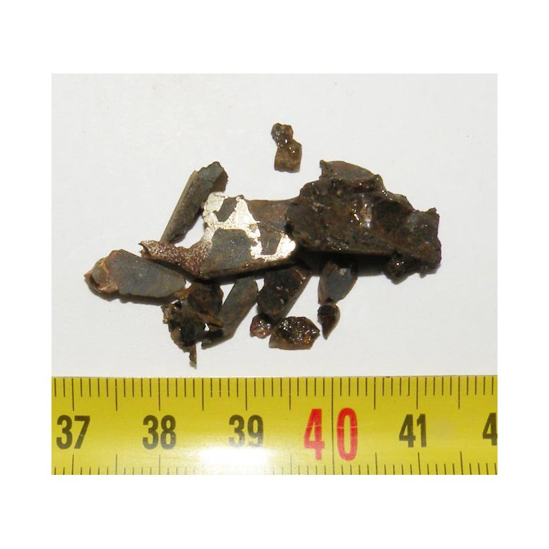 Meteorite Pallasovka - Pallasite (5.00 grs - 018 )
