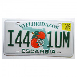 Plaque d Immatriculation USA - Florida ( 1173 )