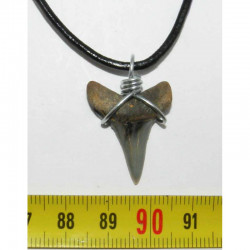Collier pendentif dent de requin fossile ( 033 )