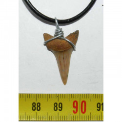 Collier pendentif dent de requin fossile ( 038 )