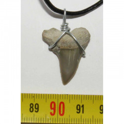 Collier pendentif dent de requin fossile ( Mako -  049 )