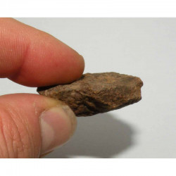Meteorite Jiddat Al Harasis 055 ( JAH 055 - 16 grs - 006 )