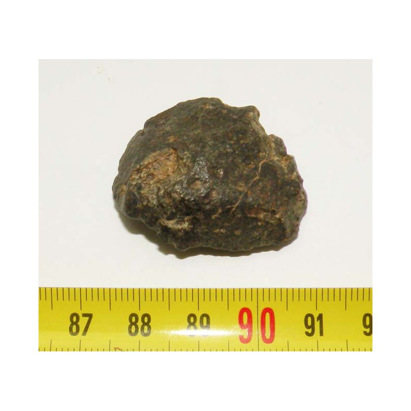 Meteorite NWA 869 ( 17.40 grammes - 022 )