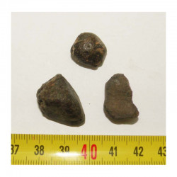 3 Meteorites NWA 869 ( 15 grammes - 31  )