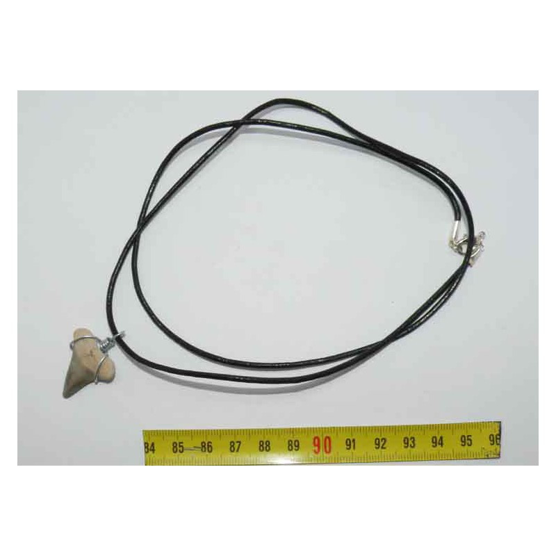 Collier pendentif dent de requin fossile ( Mako - 043 ) Collier pendentif dent de requin fossile ( Mako - 043 )