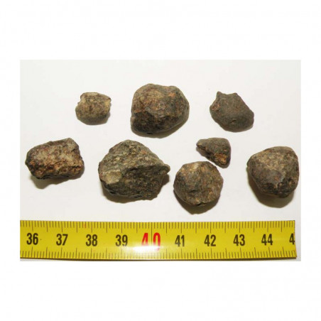 8 Meteorites NWA 869 ( 39 grammes - 30  )