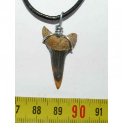 Collier pendentif dent de requin fossile ( Mako - 031 )