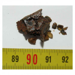 lot de Meteorite Brahin- Pallasite ( 3.0 grs - 005 )
