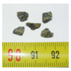Lot de Tatahouine ( meteorite - 0.70 grs - 014 )