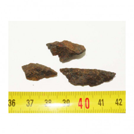 3 Meteorites Lahoma (  4.00 grammes - 004 )