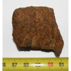 Meteorite Jiddat Al Harasis 055 ( JAH 055 - 49.00 grs - 004 )