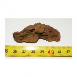 Meteorite NWA 5054 ( 31.00 grammes - 003 )
