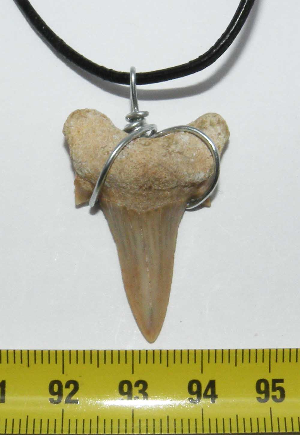 https://www.nuggetsfactory.com/EURO/megalodon/collier/4%20collier%20a.jpg