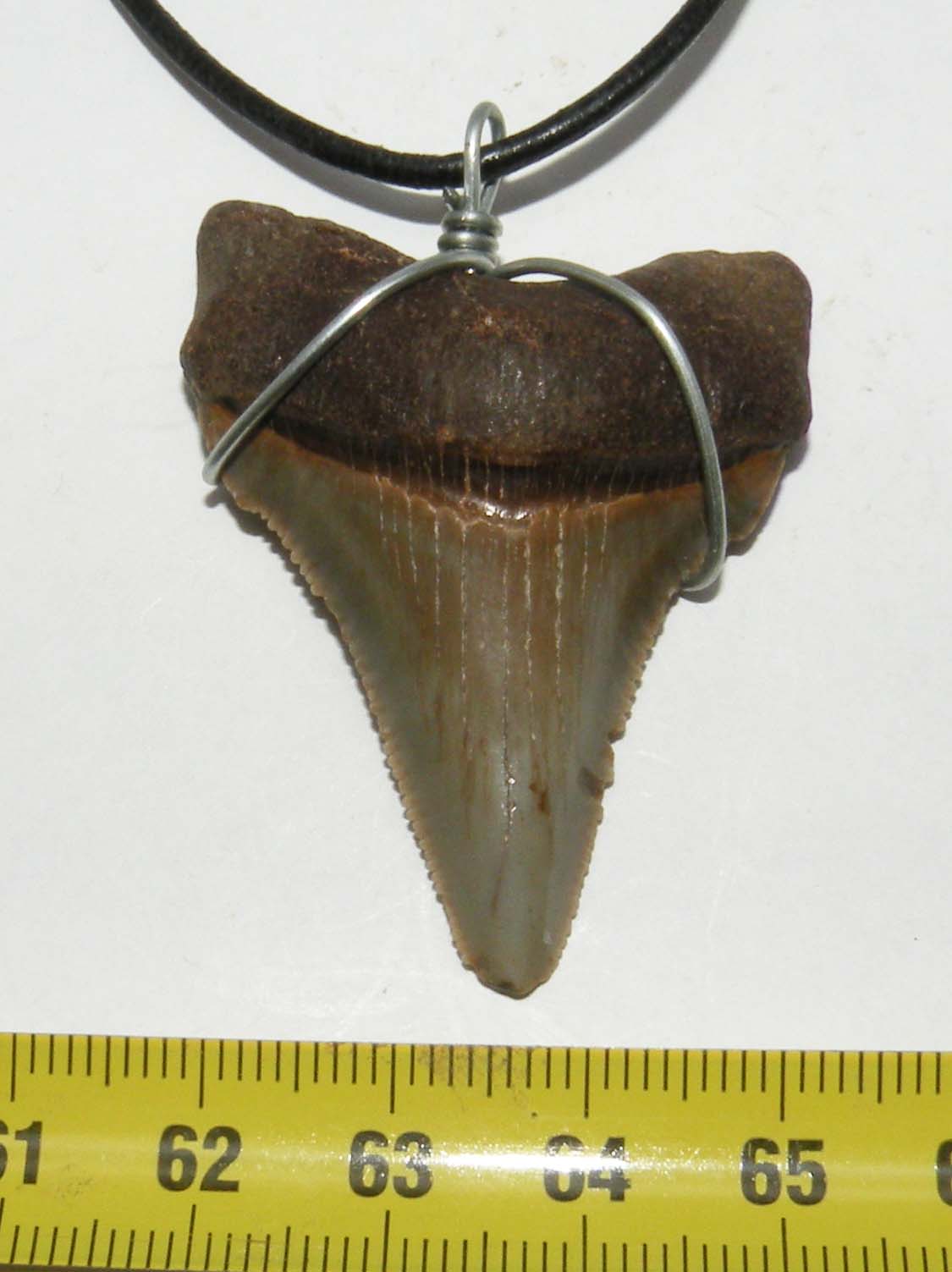 https://www.nuggetsfactory.com/EURO/megalodon/collier/53%20collier%20a.jpg