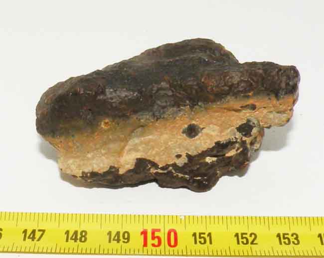 https://www.nuggetsfactory.com/EURO/meteorite/DHO%20XXX/13%20dho%20xxx%20a.jpg