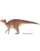 Hadrosaure